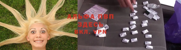 apvp Алексин