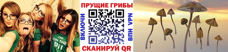 Псилоцибиновые грибы мухоморы  продажа наркотиков  Алексин 